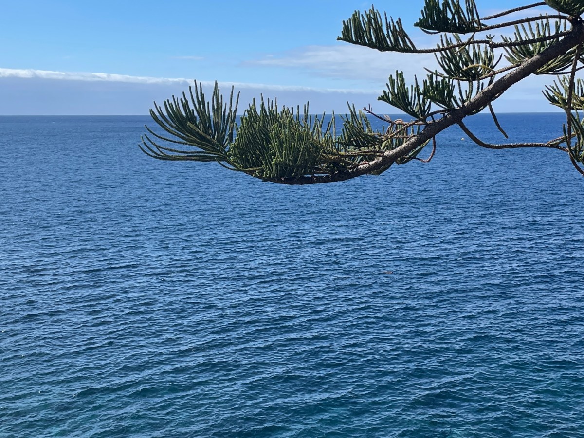Das Wetter auf Madeira im&nbsp;Oktober