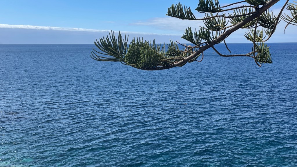 Das Wetter auf Madeira im&nbsp;Oktober
