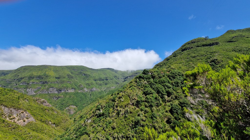 Brände auf Madeira